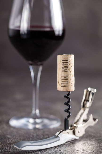 Когда появились винная пробка и штопор?