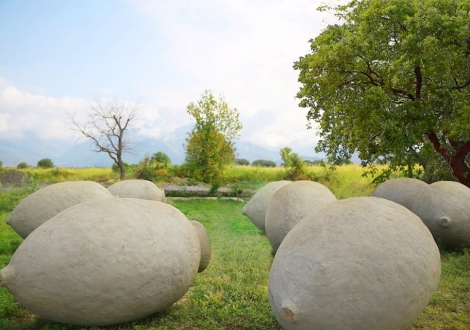 Decanter добавил категорию "Вина квеври"